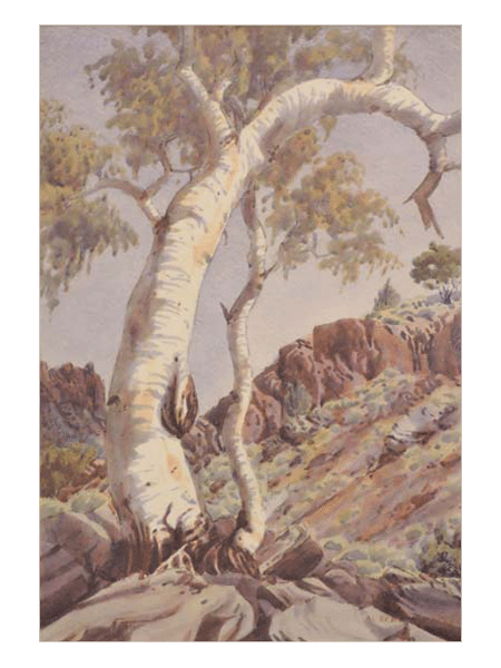 Albert Namatjira – Ghost Gum, Macdonnell Ranges, Central Australia