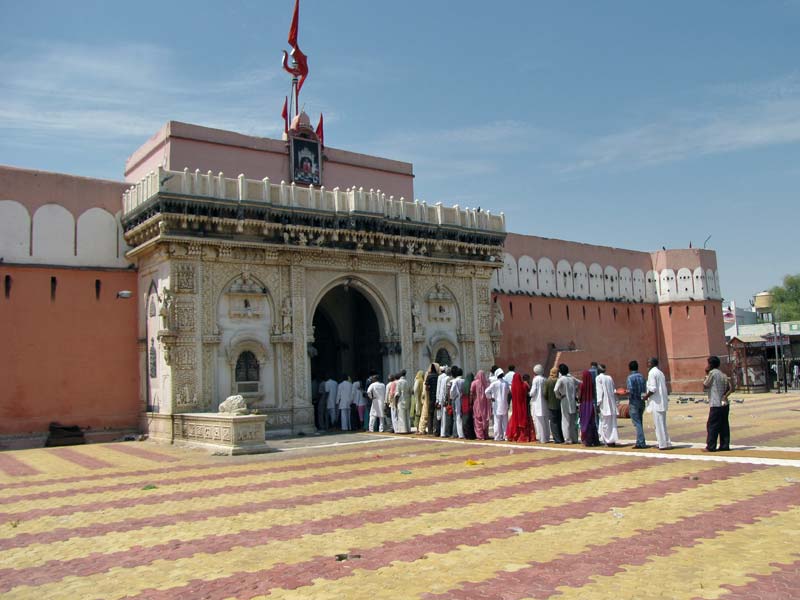 In het dorp Deshnoke, dertig kilometer van Bikaner, staat de Karni Mata tempel.