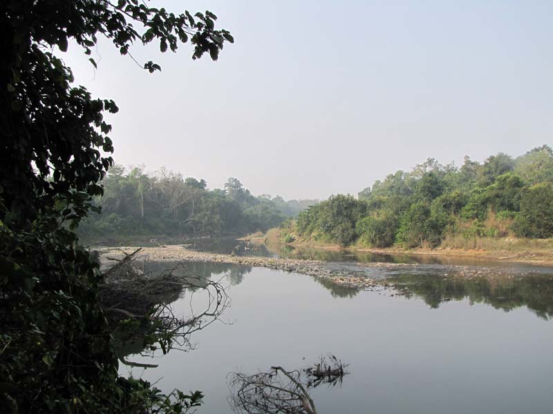 Babai River in Bardia National Park.