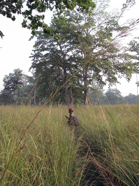 De parkranger in het hoge gras: 'Ja, natuurlijk komen hier slangen voor.'"'