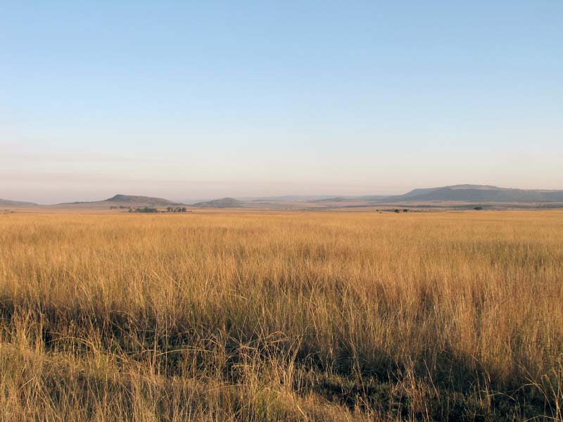 Om de graslanden van Natal is gevochten door Boeren, Britten en Zoeloes.