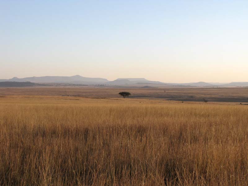 Uitgestrekt, voorbij de horizon; een van de grote landschappen van Zuid Afrika.