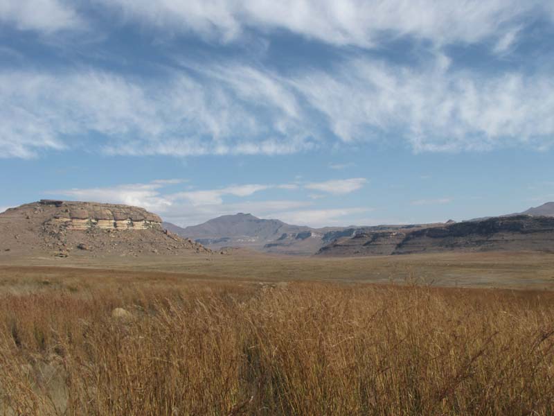 Ten oosten van de Drakenbergs Mountains strekken zich de graslanden van Natal uit.