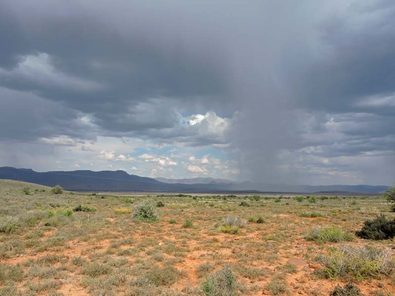 Een regenbui trekt over de Karoo; water voor de dorstige aarde.