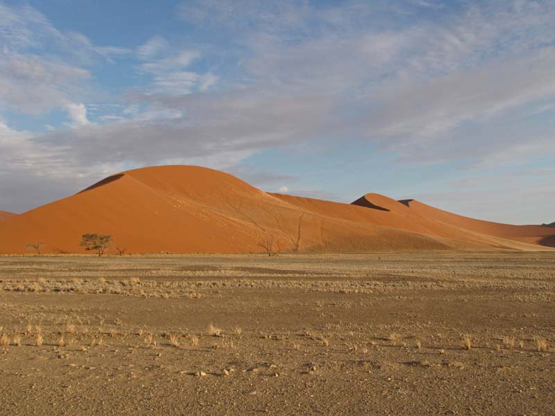 De duinen van Sossusvlei bij Sesriem: de steppe op het randje van woestijnvorming.