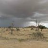 Namibische steppe