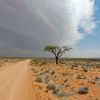 Namibische steppe